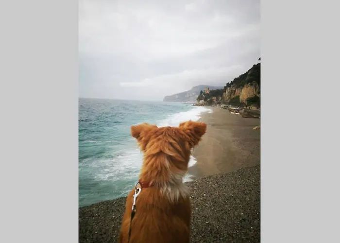 Сasa de vacaciones Casa Melograno