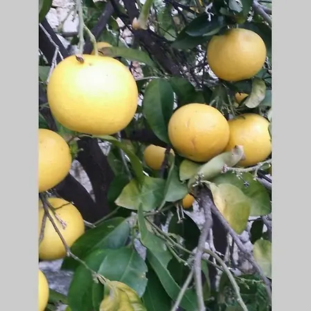 Casa Melograno * 菲纳莱利古雷