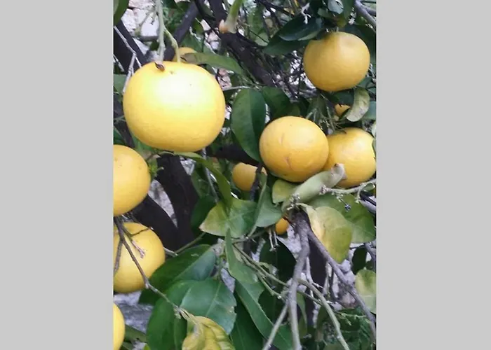 Casa Melograno * 菲纳莱利古雷